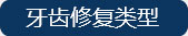 牙齿美容类型